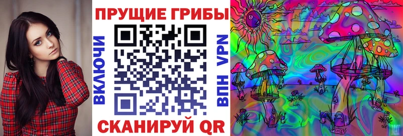 цены наркотик  Каспийск  Псилоцибиновые грибы MAGIC MUSHROOMS 